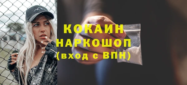 сатива Куйбышев