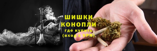 амф Краснослободск