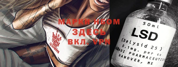 сатива Куйбышев