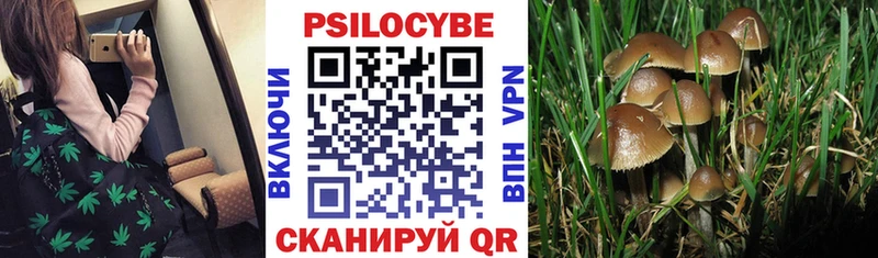 Галлюциногенные грибы MAGIC MUSHROOMS  Новопавловск 