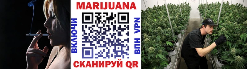 магазин продажи наркотиков  Новопавловск  МАРИХУАНА конопля 